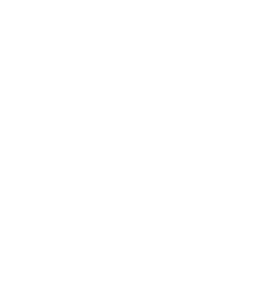 MSD Footer Logo